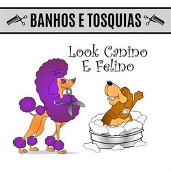 Look Canino e Felino