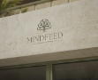 mindfeed2