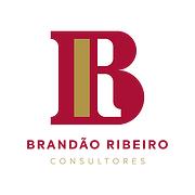 Brandão Ribeiro Consultores - Gestão Contabilidade e Fiscalidade