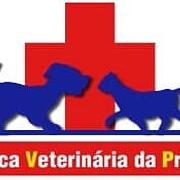Clínica Veterinária da Prelada