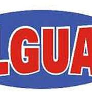 Valguard II-Equipamentos Electrónicos e Segurança Lda