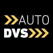 Auto DVS
