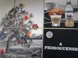 A Pedroguense