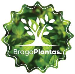 Braga Plantas
