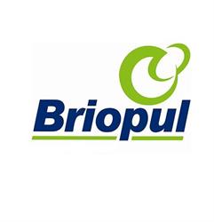 Briopul - Sociedade De Obras Públicas E Privadas S.A