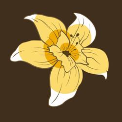 Vanilla Faro
