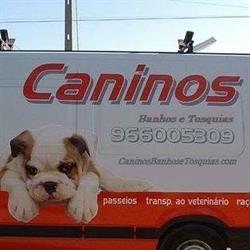 Caninos Banhos e Tosquias ao domicílio
