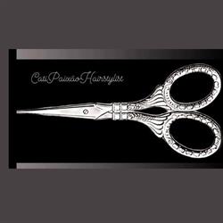 CatiPaixão Hairstylist
