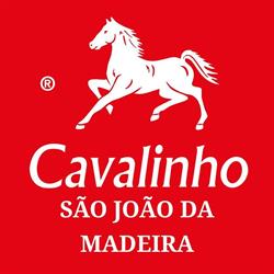 Cavalinho São João da Madeira
