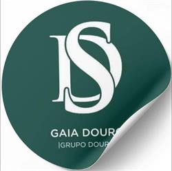 Decisões e Soluções - Gaia Douro