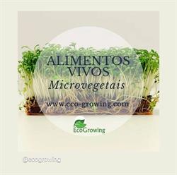 Ecogrowing, lda