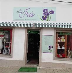 Florista Íris Matosinhos