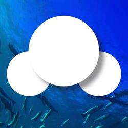 H2O Lisbon Dive Club