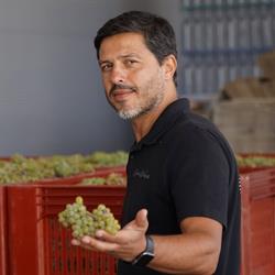 Helder Cunha Winemaker