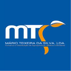 Mário Teixeira da Silva, Lda.