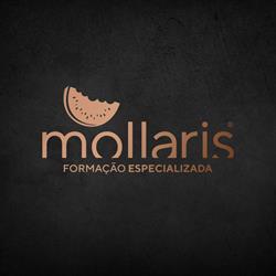 Mollaris Formação Especializada