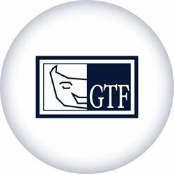 Grupo Teatral Freamundense