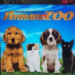 ANIMALZOO LOJA DE ANIMAIS DE ESTIMAÇÃO
