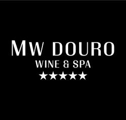 MW Douro Hotel Wine & Spa