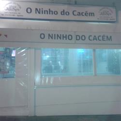 Ninho do Cacém