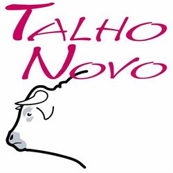 Talho Novo Portimão