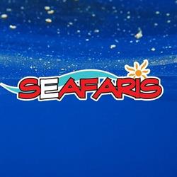Dolphin Seafaris - Passeios de Barco em Lagos - Benagil & Golfinhos