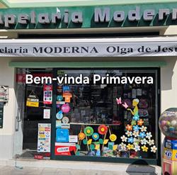 Agente Nickel - PAPELARIA MODERNA DE OLGA DE JESUS