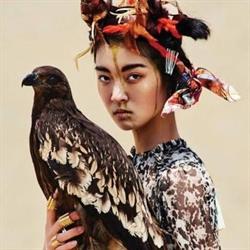 Free Bird - studio
