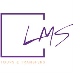 LM Simões LDA