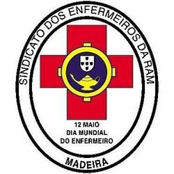 Sindicato dos Enfermeiros da Região Autónoma da Madeira SOBRE NÓS