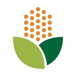Pinhos Armazém Agrícola