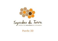 Ponto 20