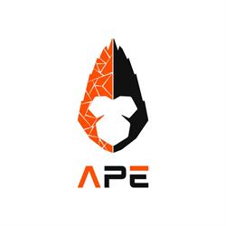 The APE - Agência de Branding e Comunicação em Lisboa