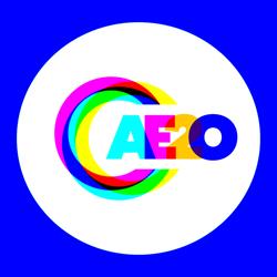 Ae2o - Associação Para A Educação De Segunda Oportunidade