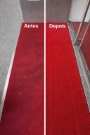 Carpetes