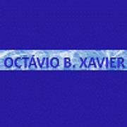 Octávio B Xavier