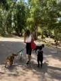 Passeios de grupo