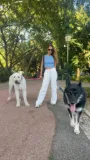 Passeios da Dog Sisters