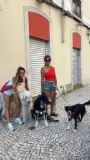 Passeios da Dog Sisters