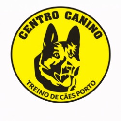Treino de cães porto/Dog trainer Ferraz