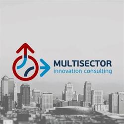 Multisector - Innovation Consulting