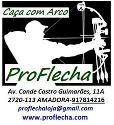 ProFlecha