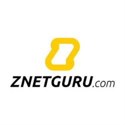 ZNETGURU - Web Design, SEO, & Digital Marketing