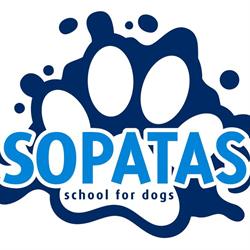 Sopatas - School For Dogs