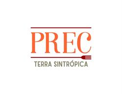 PREC - Processo Regenerativo em Curso