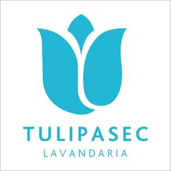 Lavandaria Tulipasec
