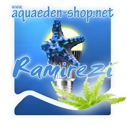 Aquaeden