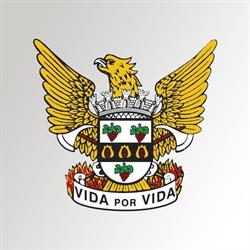 Bombeiros Voluntários De Famalicão