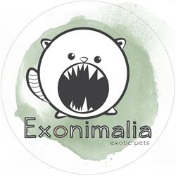 Exonimalia