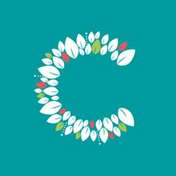 Florista Conceição